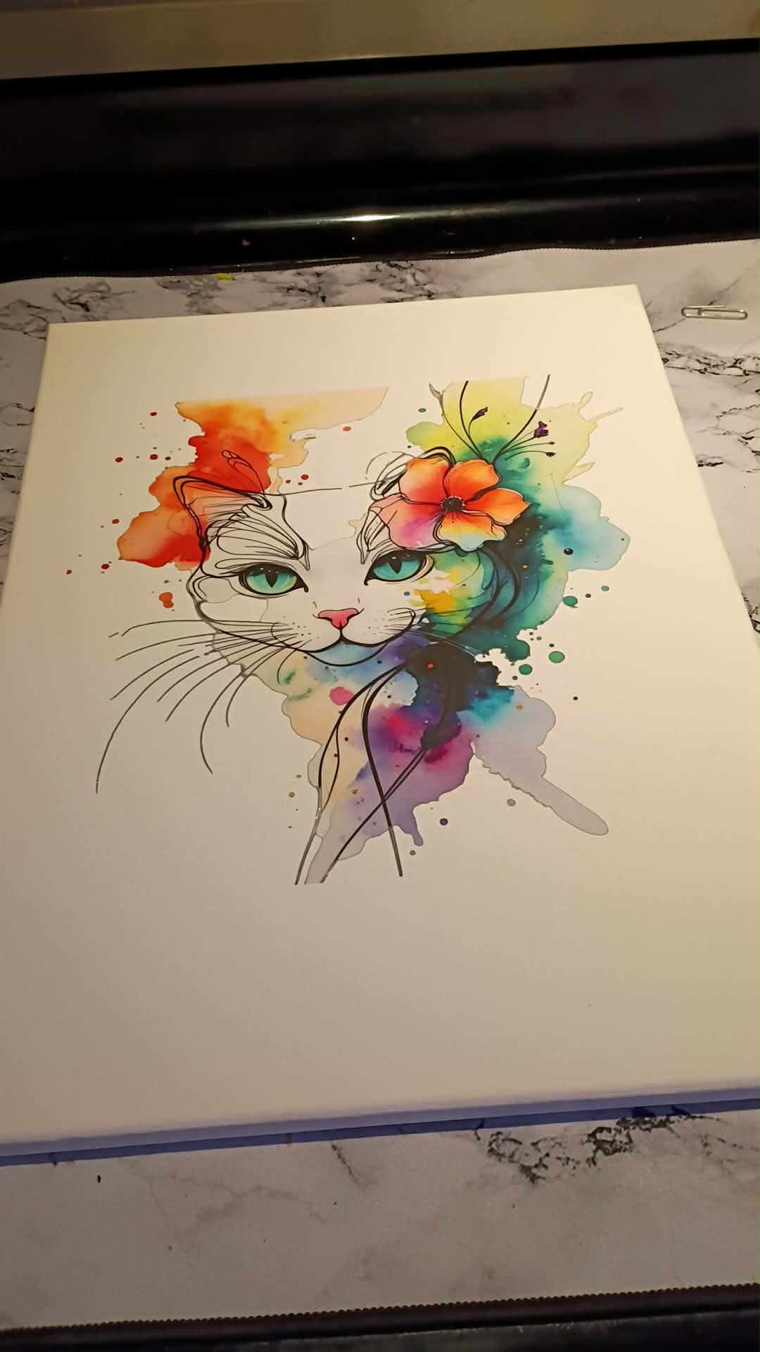 Colorful cat