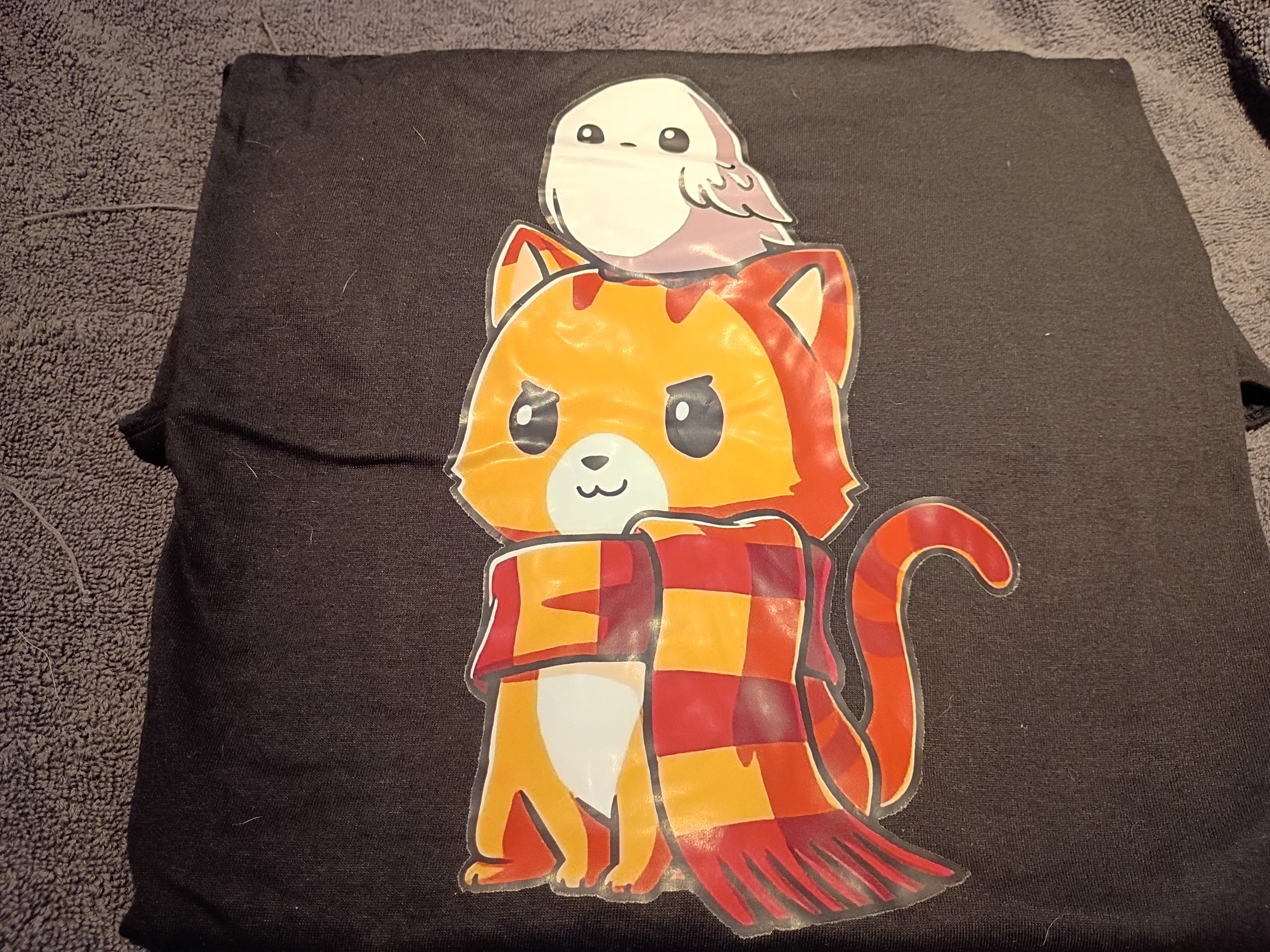 HP cat